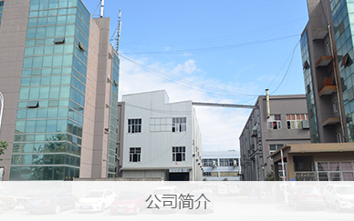 公司簡介