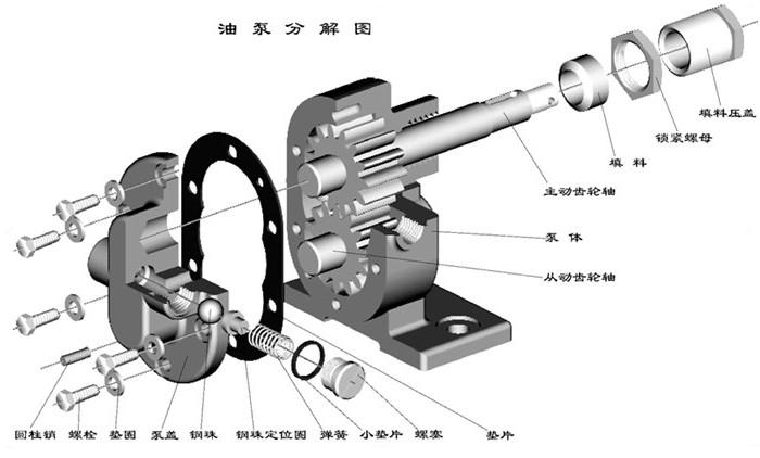 齒輪（lún）油泵（bèng）分解圖